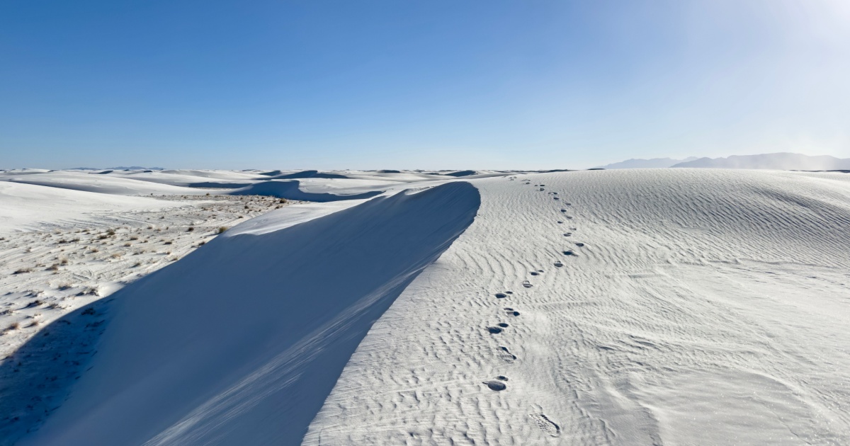 Humanity’s Earliest Footprints in the Americas Reveal a New Chapter of History