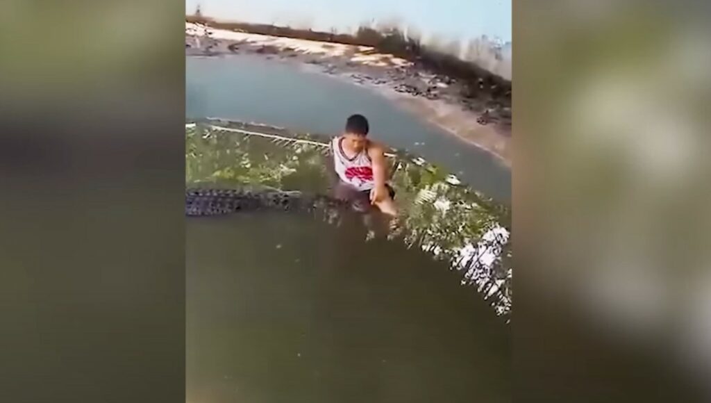Tourist sitting on a crocodile before crocodile attack