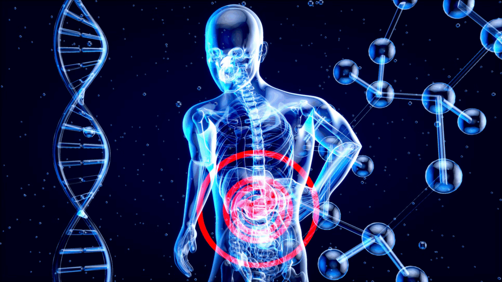 Futuristic medical visualization with DNA helix and human torso highlighting liver area during cellular repair process.