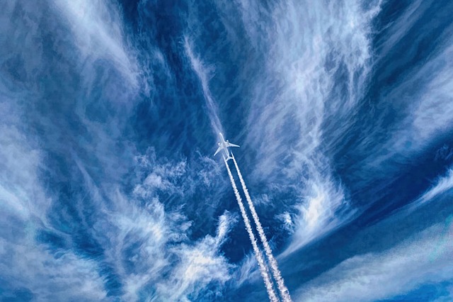 plane in the sky