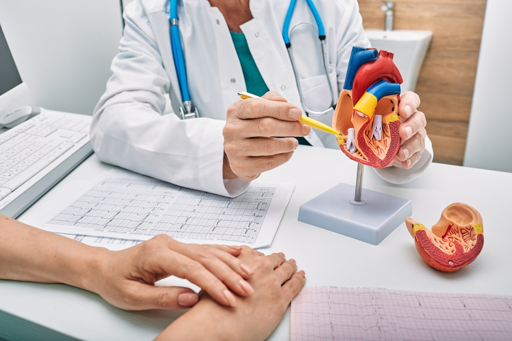Cardiology consultation, treatment of heart disease. Doctor cardiologist while consultation showing anatomical model of human heart
