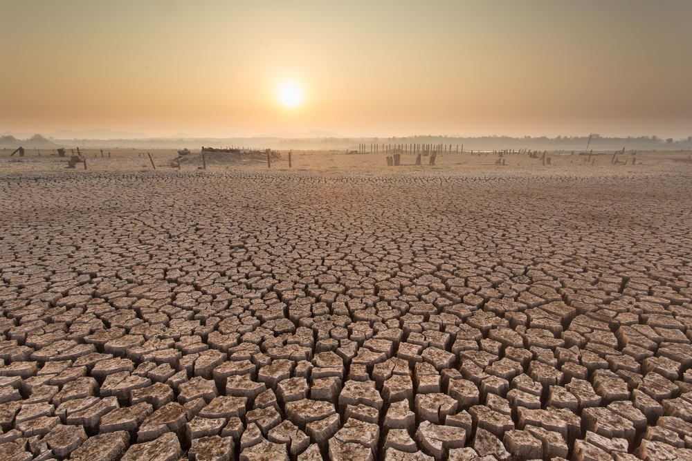 sunset on a died and cracked soil in arid season