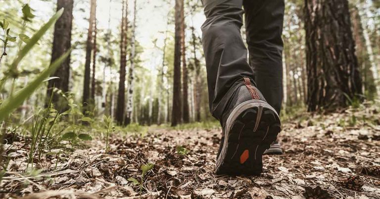 The Unique Benefits of Hiking for Mind and Body - Featured image