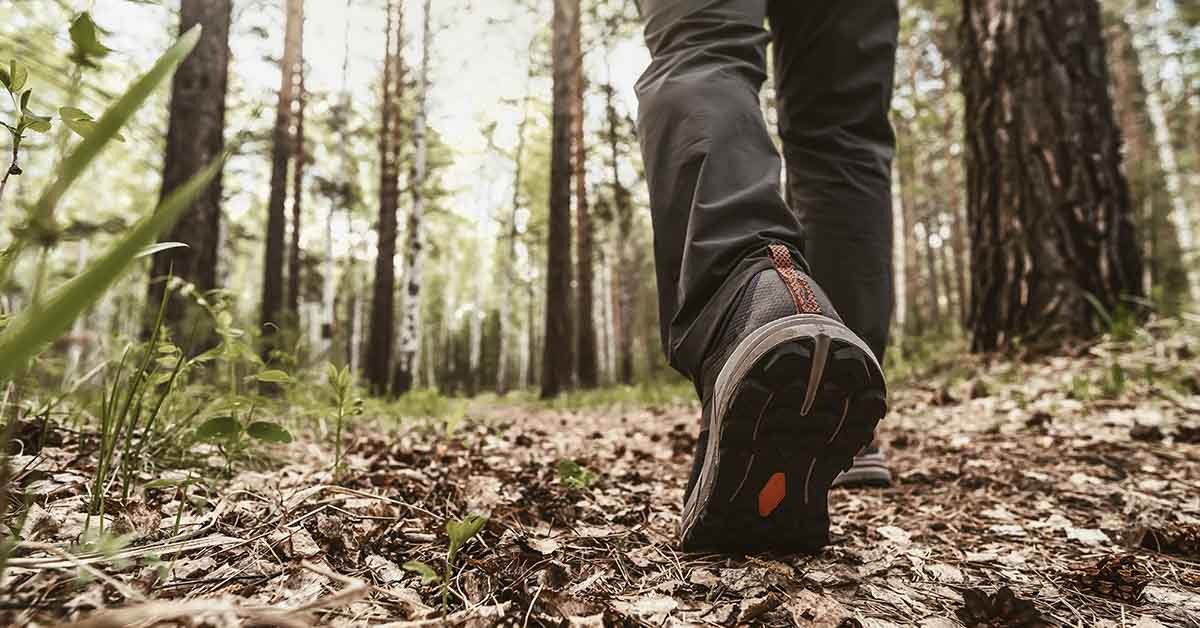 The Unique Benefits of Hiking for Mind and Body
