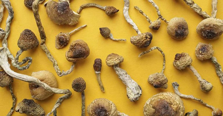 A Man Once Injected Magic Mushrooms Into His Veins. What Happened Next Was Unbelievable - Featured image