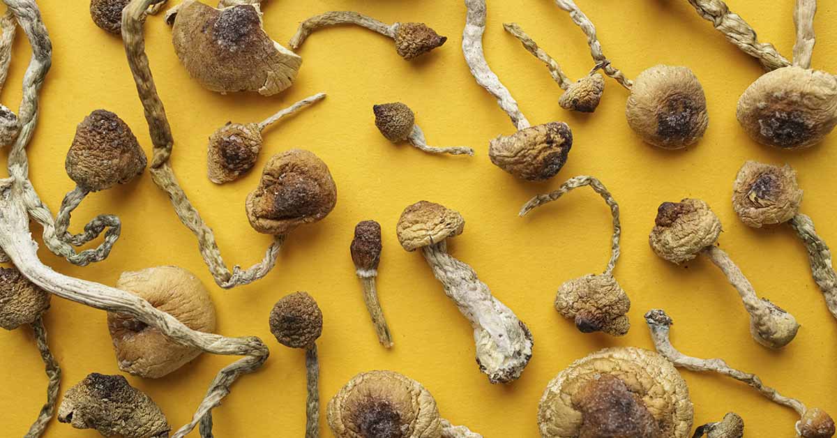 A Man Once Injected Magic Mushrooms Into His Veins. What Happened Next Was Unbelievable