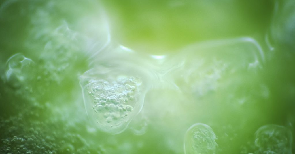 New Research Questions What We Know About Life’s Origins - Featured image