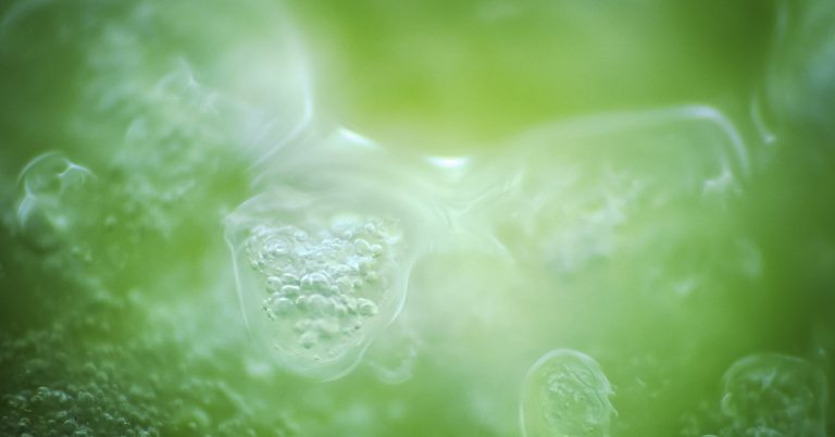 New Research Questions What We Know About Life’s Origins - Featured image