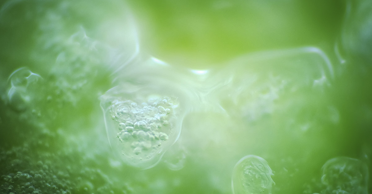 New Research Questions What We Know About Life’s Origins