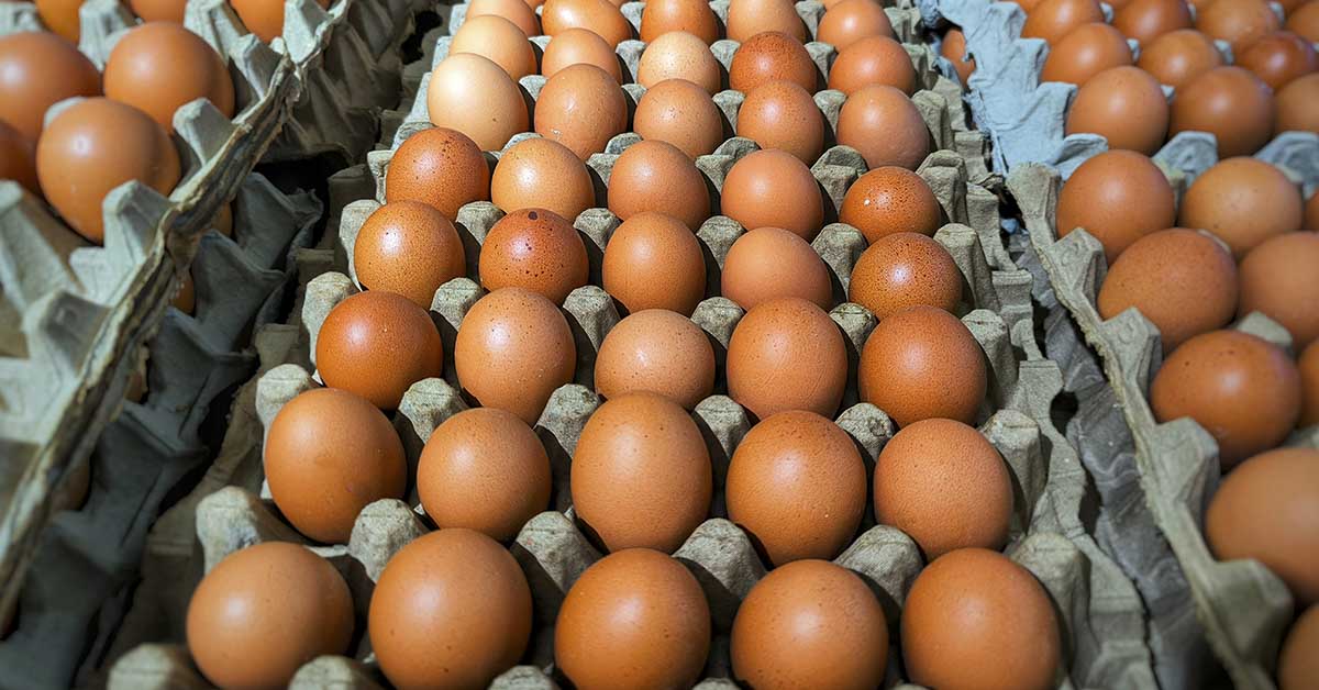CDC: Salmonella Outbreak Tied to Egg Recall Hits Multiple States