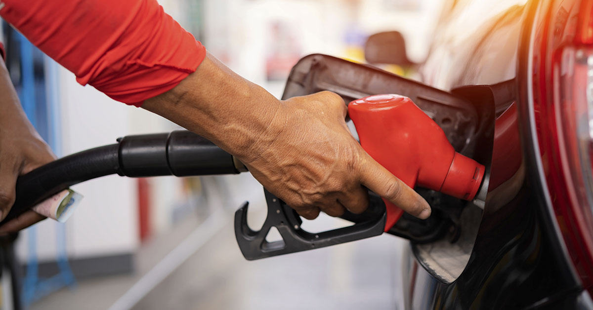 12 States Aim to Phase Out Gas Cars While Demand Persists
