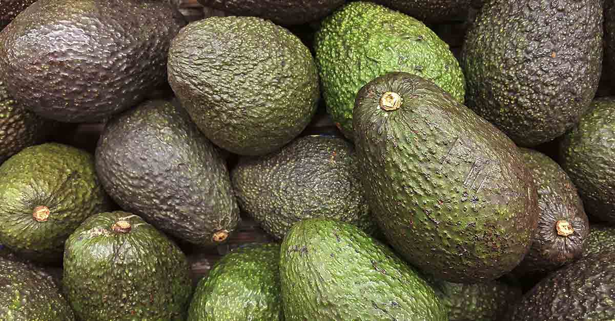 This Avocado Hack Has The Internet Losing Its Mind