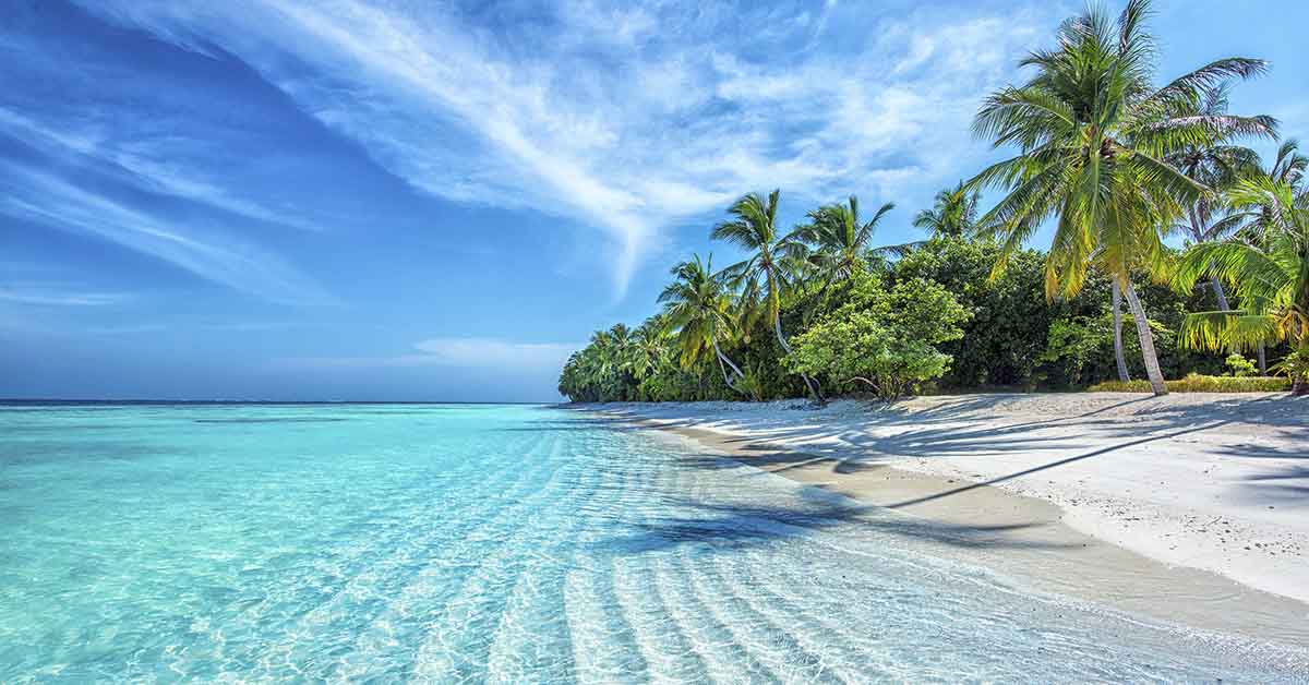 Inside the Story of a Man Who Bought Tropical Island and What He Did With It