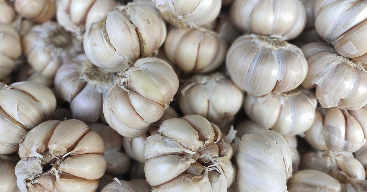 A 114-Year-Old’s Top 5 Foods for a Long and Healthy Life