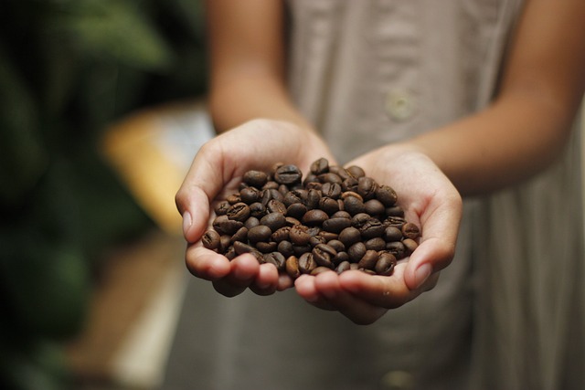 two hands holding a pile of coffee beans