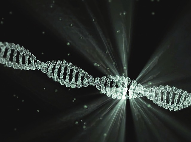 DNA strain
