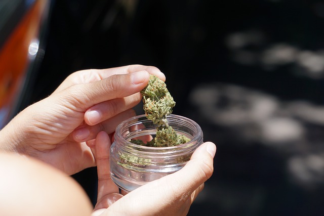 cannabis in a jar