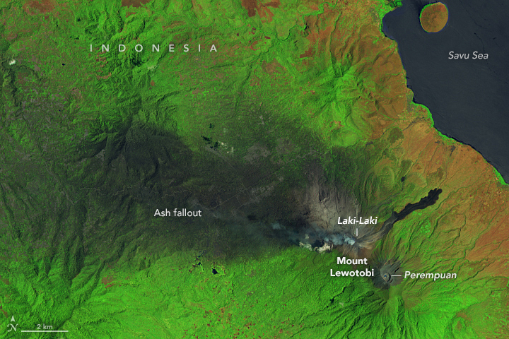NASA satellite view of Mount Lewotobi ash plume spreading across Flores Island.