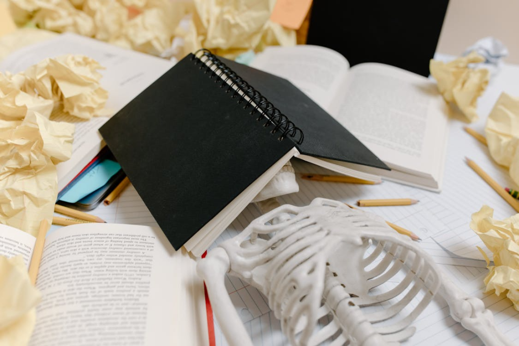 The Skull of a Skeleton Covered with a Notebook