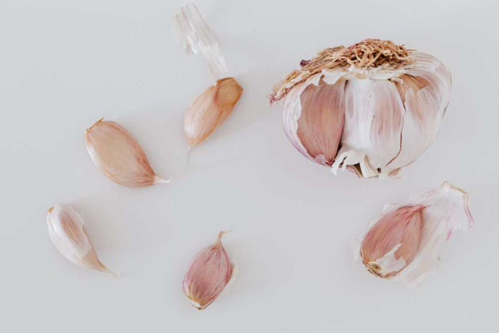 Bulb of garlic and scattered cloves of garlic in peel on gray table