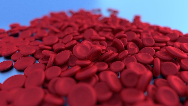 red blood cells