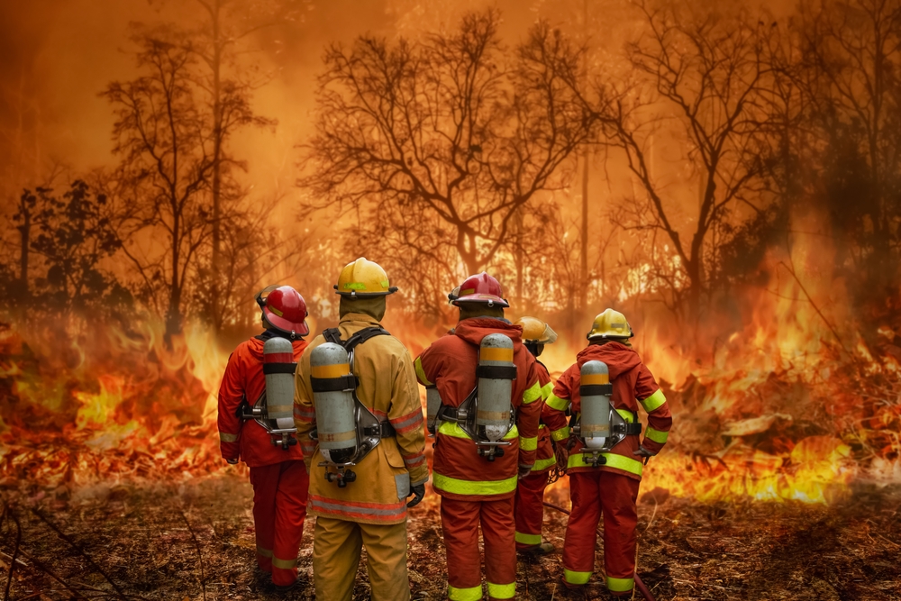 Firefighters team battle a wildfire because climate change and global warming is a driver of global wildfire trends.
