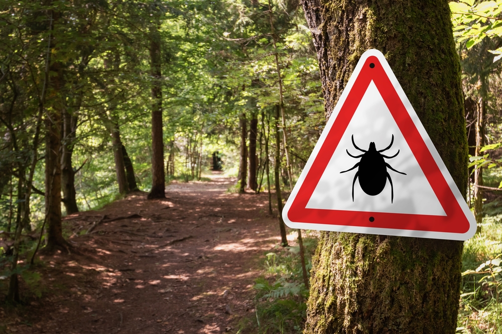 Infected ticks warning sign in a forest. Risk of tick-borne and lyme disease.
