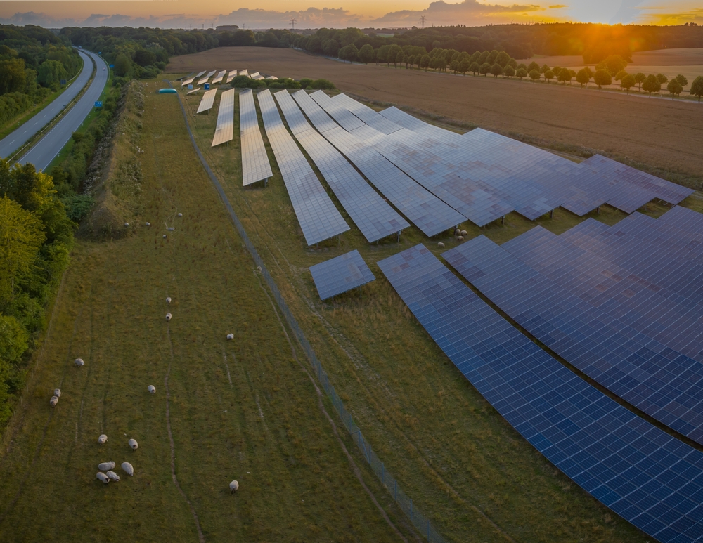 Aerial view of photovoltaics on open spaces with grazing sheeps by evening sun. The solar park along highway with grazing sheeps and fields. Renewable green energy. Alternative energy sources. 