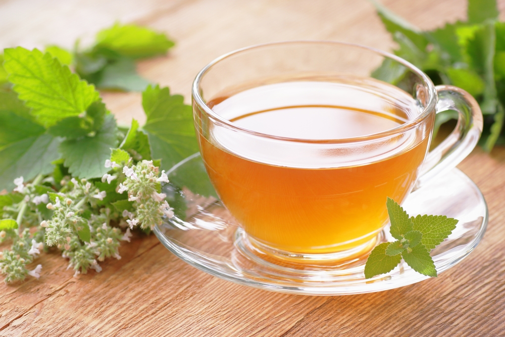 Lemon balm vitamin tea on wooden rusric table with fresh leaves and flowers nearby, copy space, natural medicine, relax herbal tea for good sleep concept