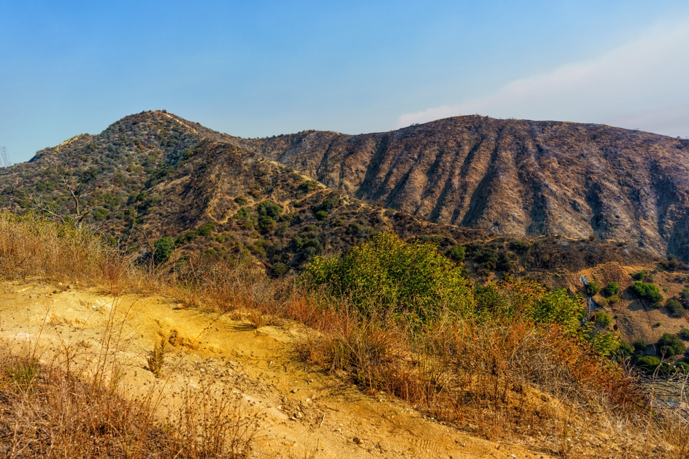 Panoramic view of hilly terrain in Runyon Canyon affected by wildfires, highlighting dry brush and recovery efforts in the landscape.
