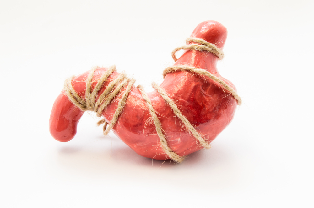 Anatomical model of human stomach, tied with rope lying on white background. Idea for stomach cramps, strong sensations or feelings of hunger, famine, gastric pain, ache or malaise, twisted stomach
