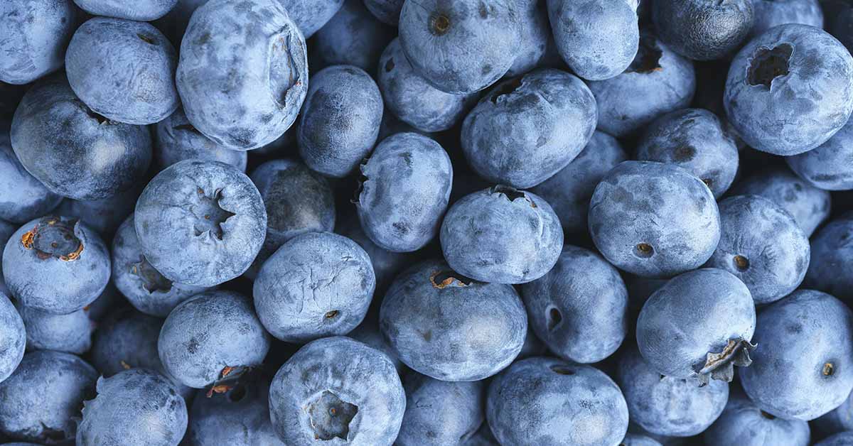 10 Foods to Help Lower Blood Pressure