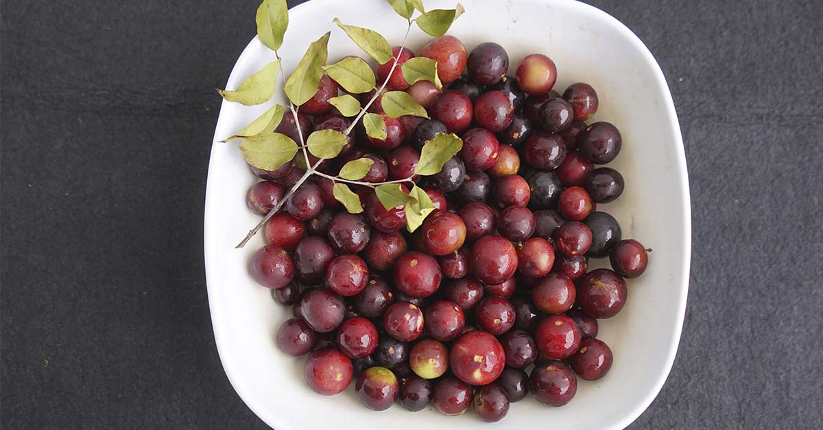 Why Camu-Camu Berry Is a Superfood Powerhouse for Your Health