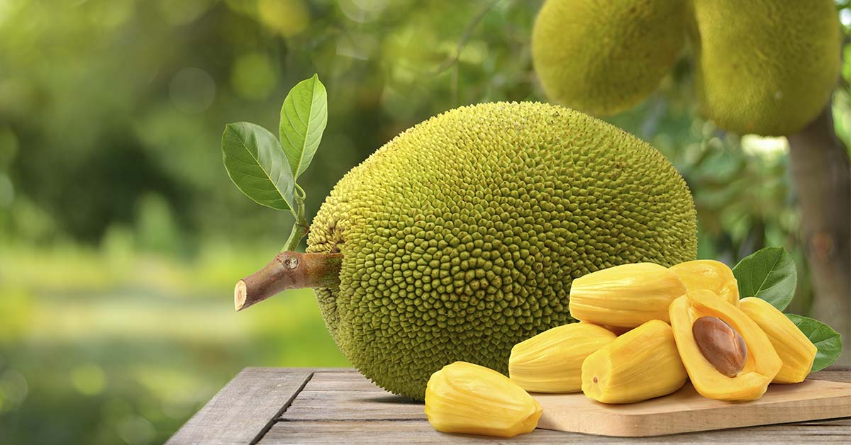7 Benefits of Adding This High-Protein Fruit to Your Diet
