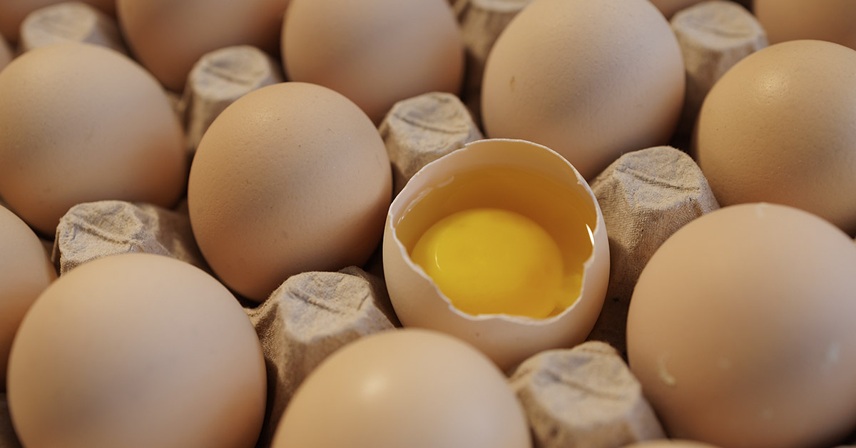 How Many Eggs Should You Eat Per Day, According to Research