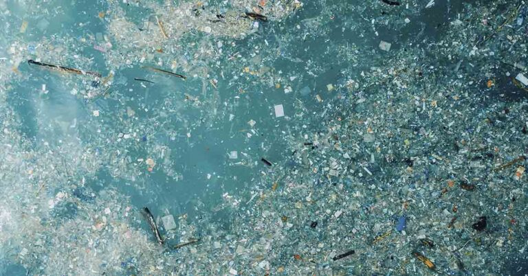 Where Did All the Ocean Plastic Go? Scientists Uncover Troubling Truth - Featured image