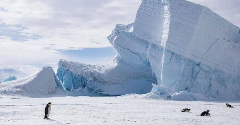 Scientists Uncover Ancient World Hidden Under Antarctica’s Ice Sheet - Featured image
