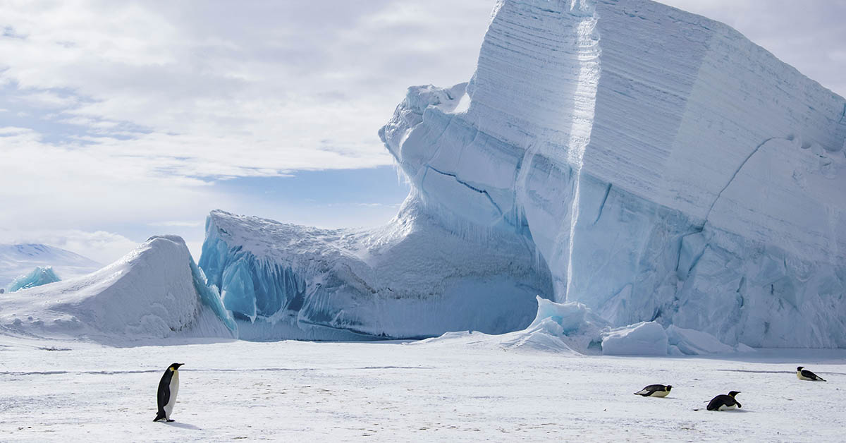Scientists Uncover Ancient World Hidden Under Antarctica’s Ice Sheet