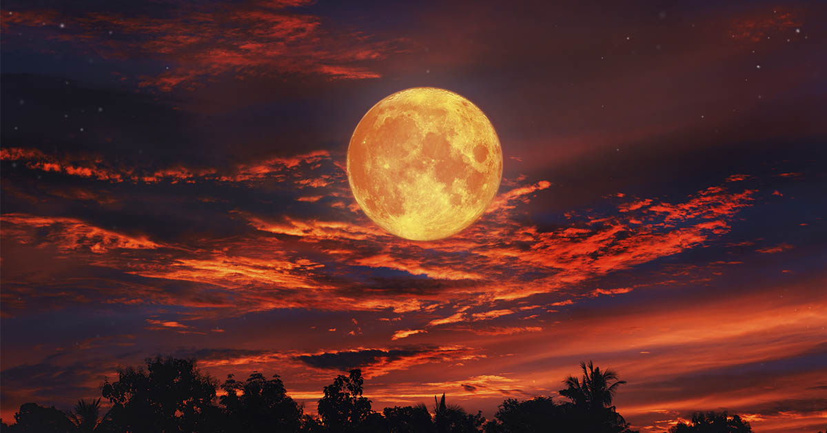 Mark Your Calendar! The Stunning September 2025 Blood Moon Will Amaze You