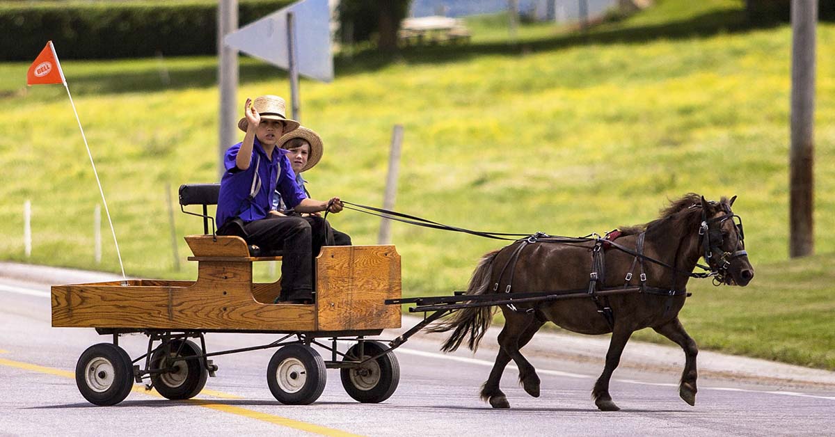 Scientists May Have Uncovered Why Amish Kids Rarely Get Allergies