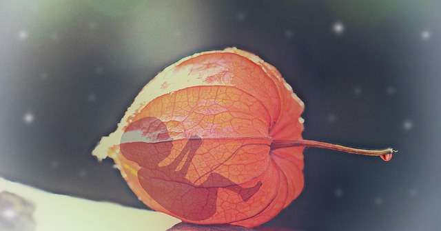 baby in a gooseberry