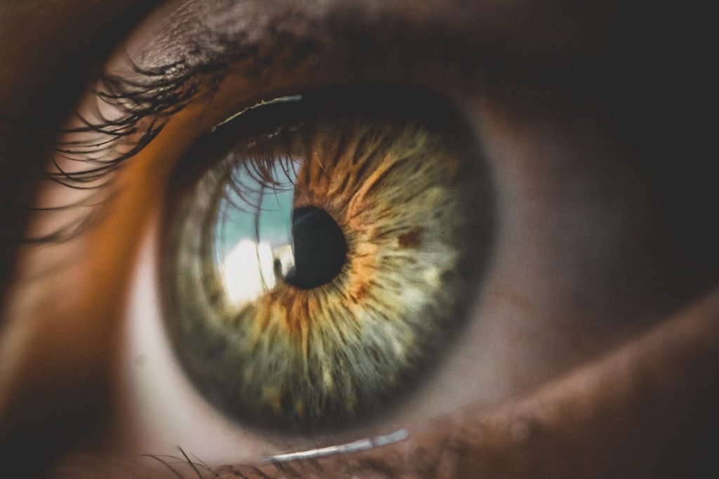 close up of a green eye