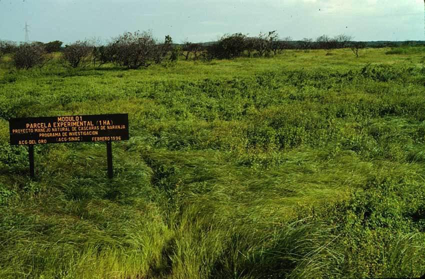 Research site sign marking experimental plot in Costa Rica where orange peels were dumped on barren grassland.