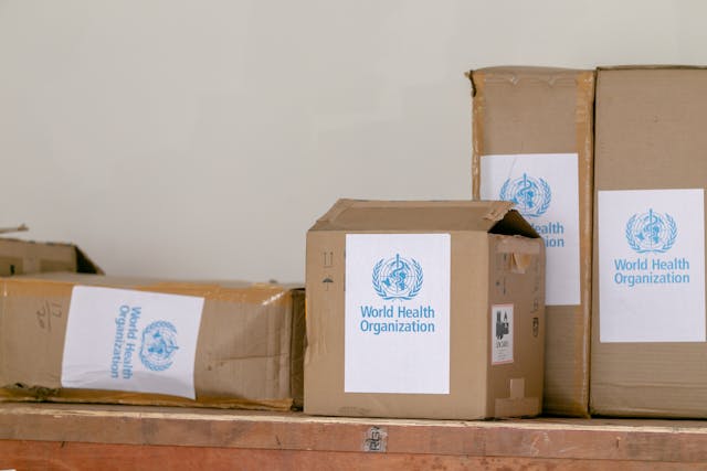 world health organization boxes