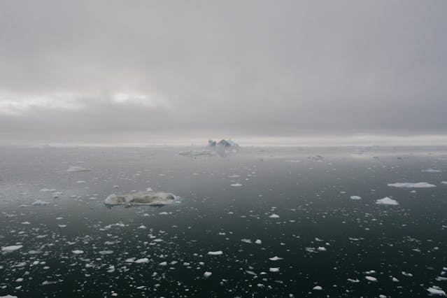Antarctica seascape