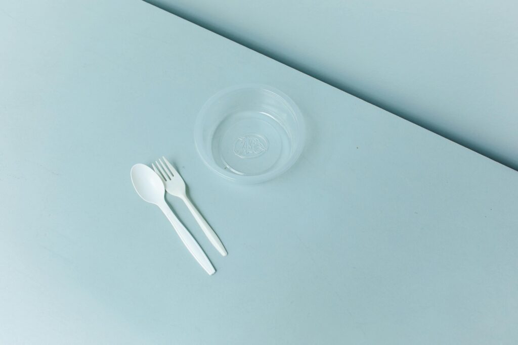 Plastic Spoon and Fork and Container
