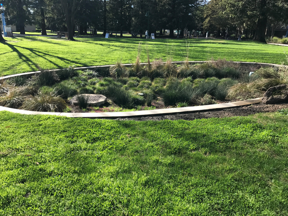 Rain garden as Low Impact Development green infrastructure
