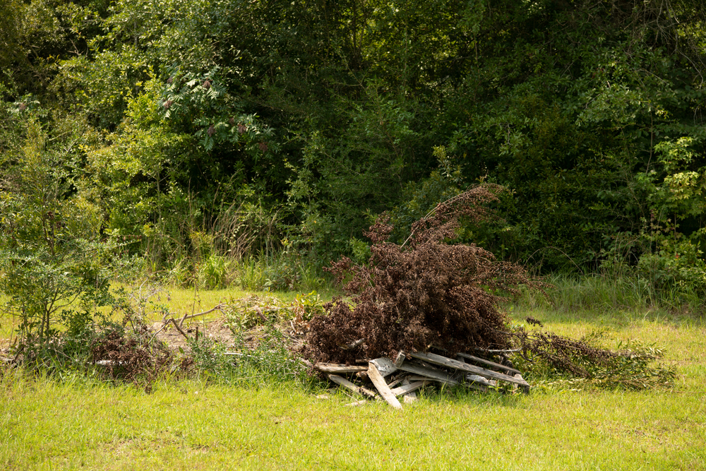 Brush pile with green and brown brush surrounded by grass and tress in the background during summer.
