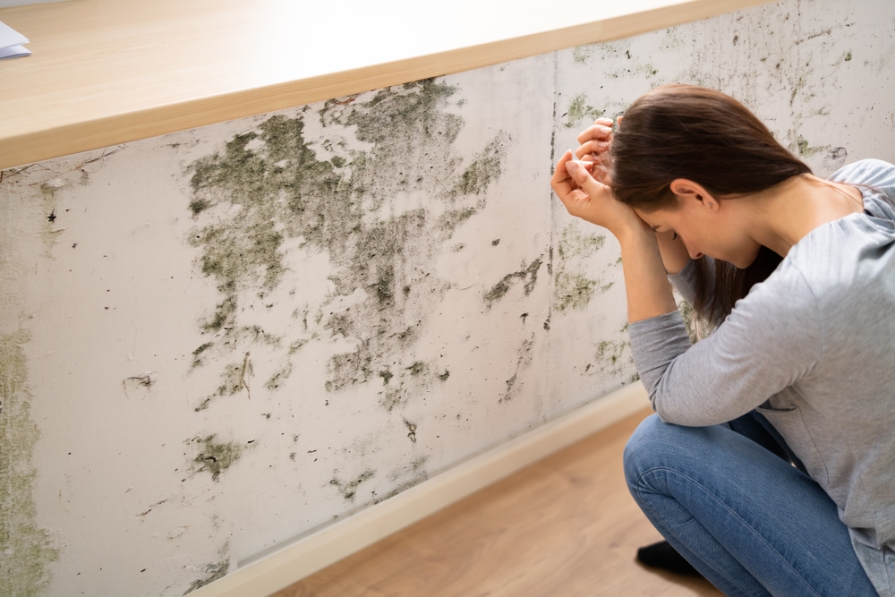 Side View Of A Shocked Young Woman Looking At Mold On Wall
