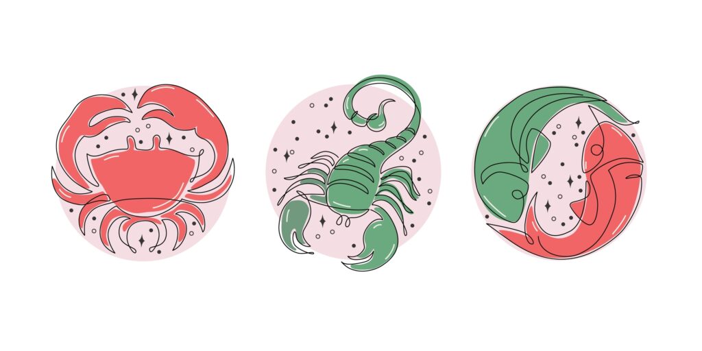 Astrological water elements zodiac signs vector illustration. Horoscope icons set: cancer scorpio pisces. Astrology cartoon symbol drawing for mystic logo, calendar print in boho minimal style

